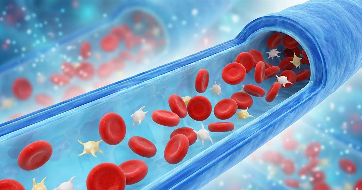 3D medical illustration of healthy red blood cells and white platelets flowing through a vein, representing effective thrombocytopenia management.
